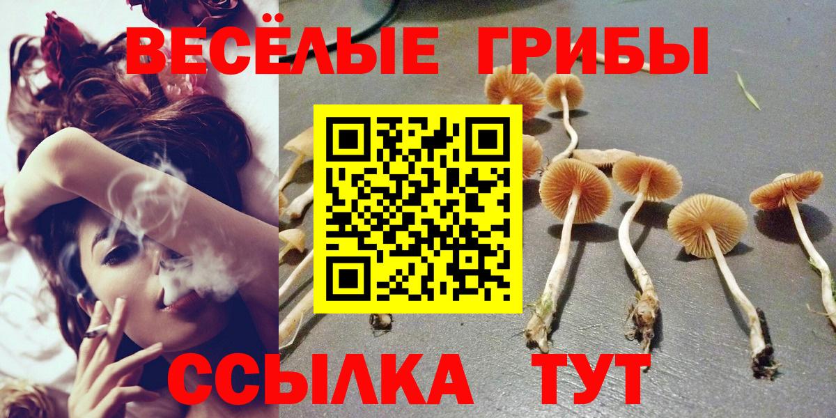 Псилоцибиновые грибы Magic Shrooms Кимры
